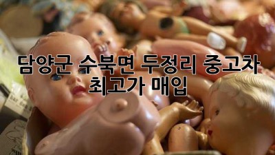 담양군 수북면 두정리 중고차 최고가 매입!